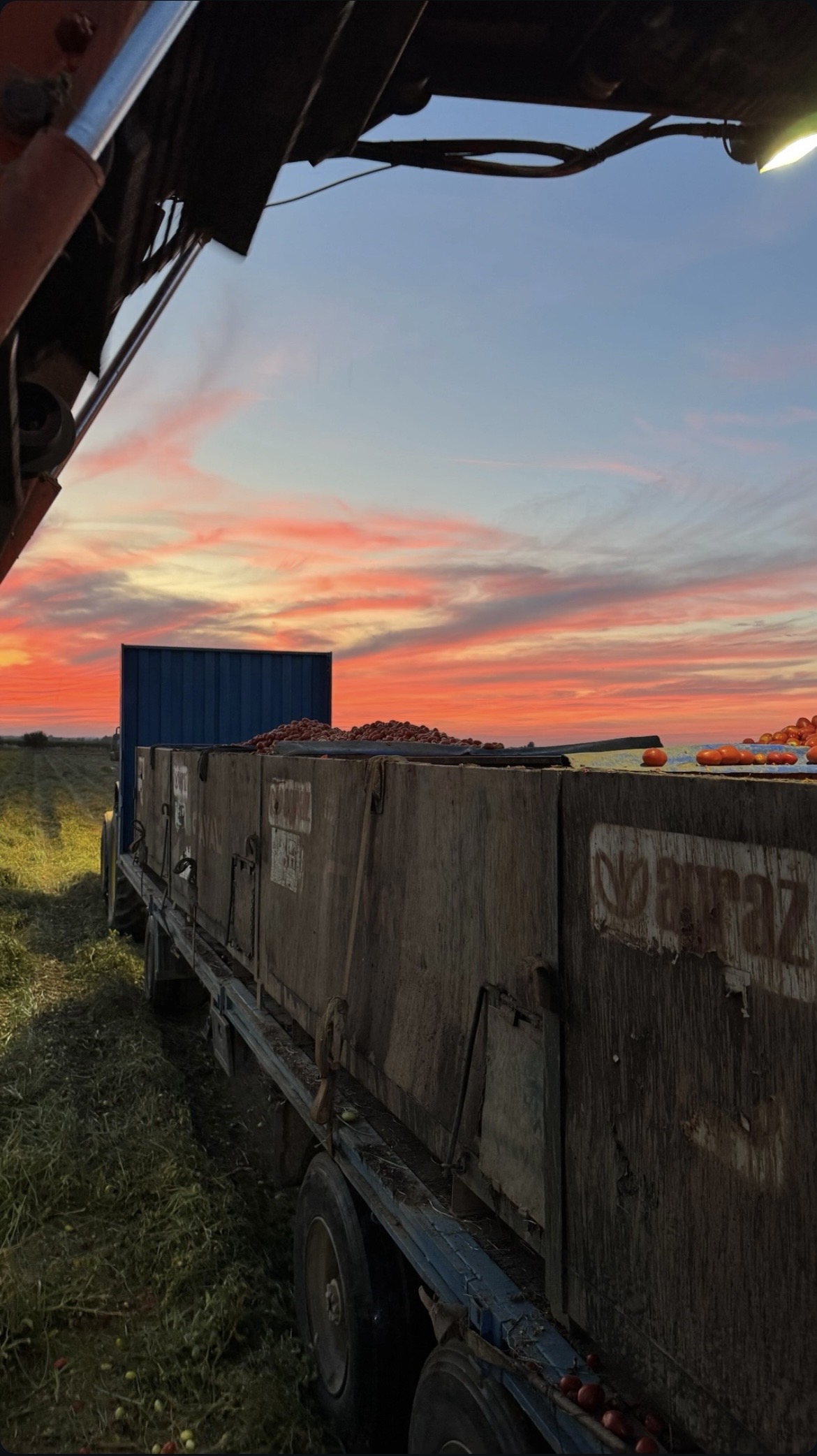 Campos de cultivo en las Vegas Bajas del Guadiana